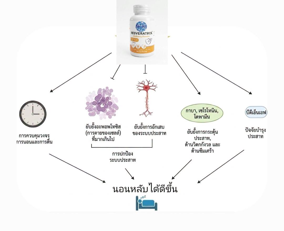 "เรสเวอราทรอล" สามารถควบคุมการนอนหลับ โดยการมีอิทธิพลต่อระดับของสารสื่อประสาทที่เกี่ยวข้องกับการนอนหลับและการควบคุมอา...