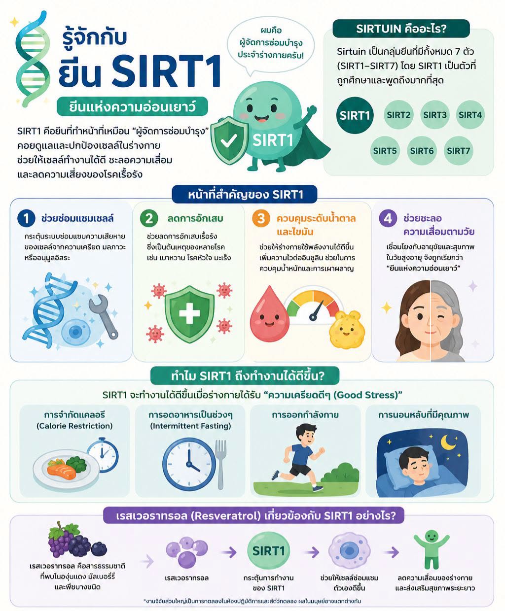 ยีน SIRT1 คืออะไร? อธิบายแบบคนทั่วไปเข้าใจง่าย