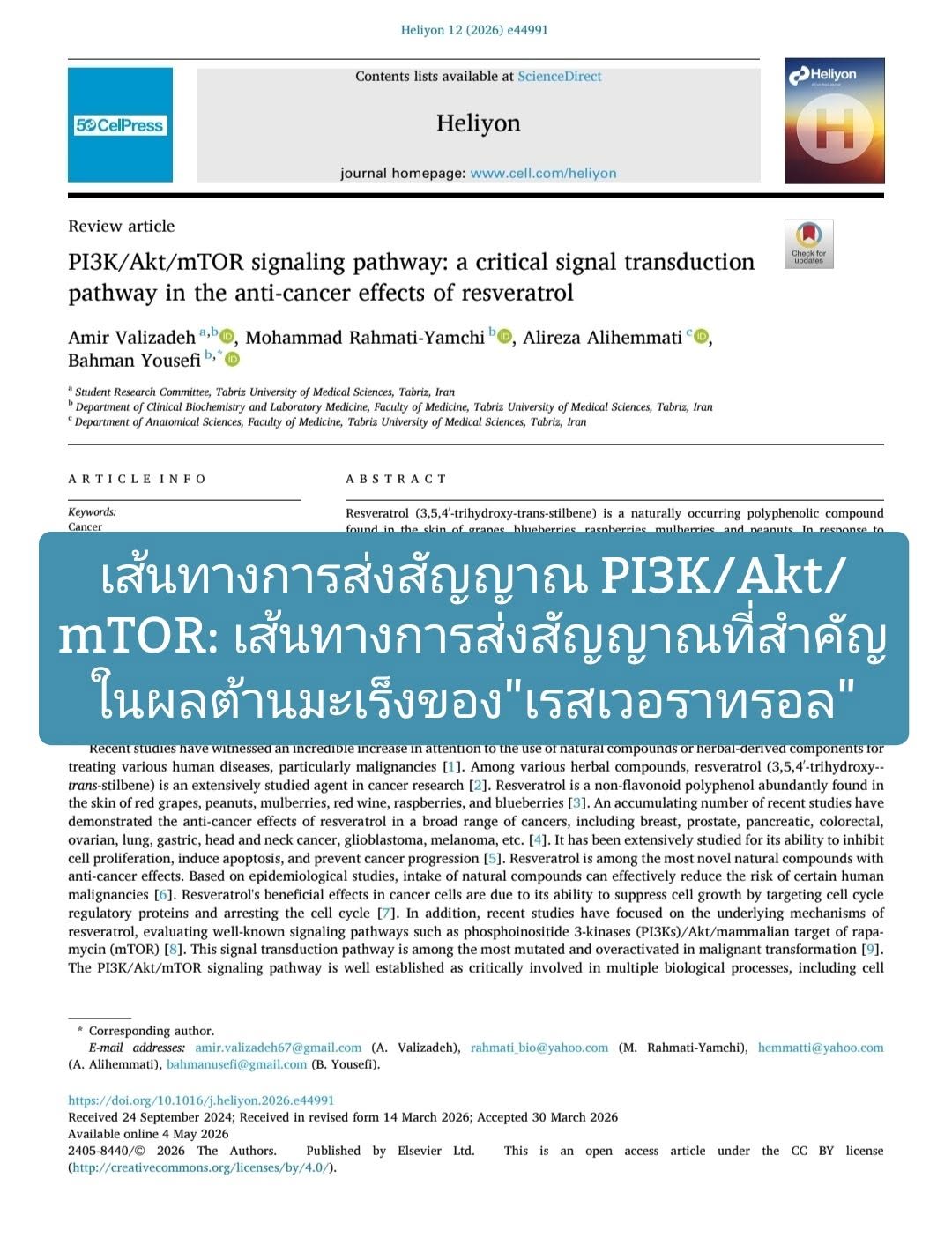 “PI3K/Akt/mTOR signaling pathway: a critical signal transduction pathway in the anti-cancer effects of resveratrol” ต...