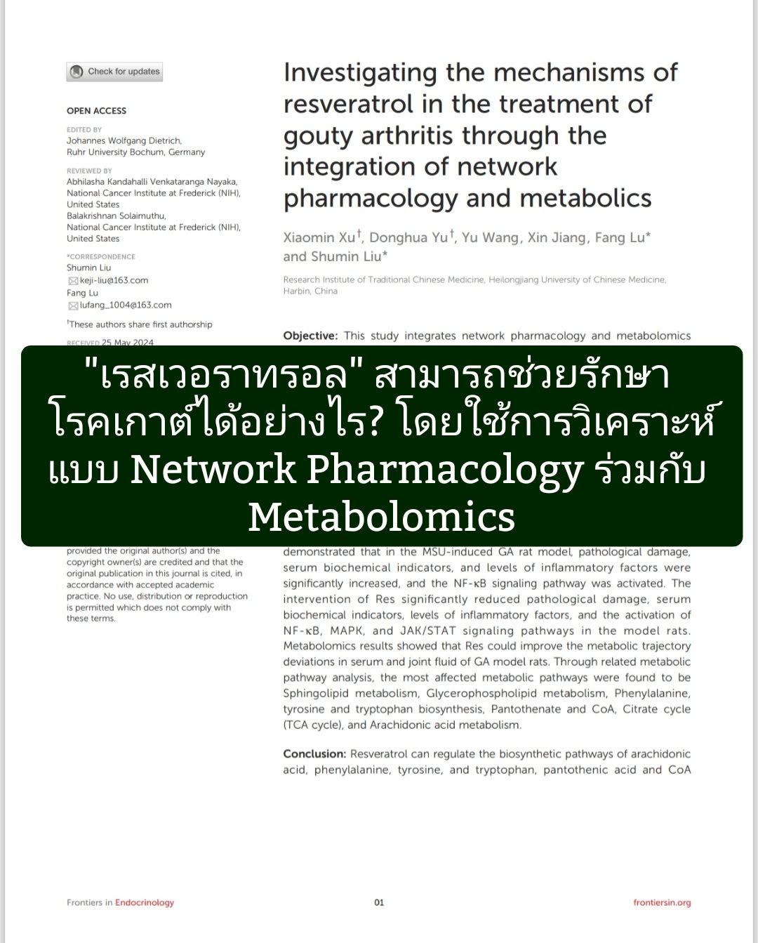 งานวิจัยนี้ตีพิมพ์ในวารสาร Frontiers in Endocrinology ศึกษาว่า เรสเวอราทรอล (Resveratrol) สามารถช่วยรักษา โรคเกาต์อัก...