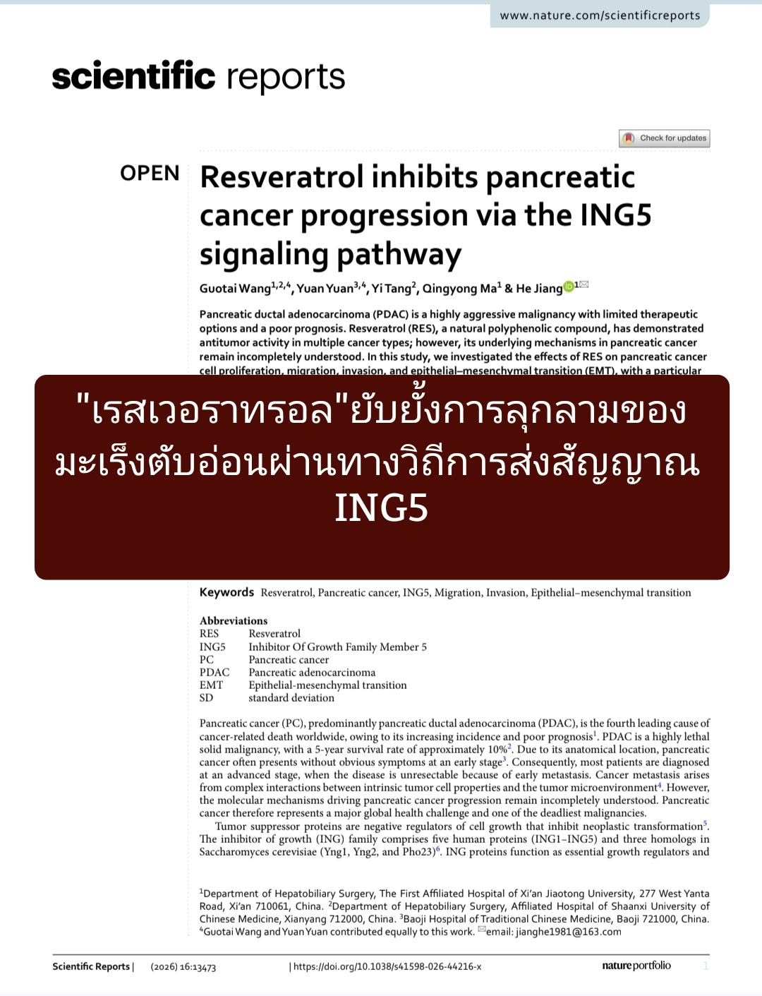 จากวารสาร Scientific Reports ศึกษาผลของสาร Resveratrol ต่อมะเร็งตับอ่อนชนิด PDAC (Pancreatic Ductal Adenocarcinoma) ซ...