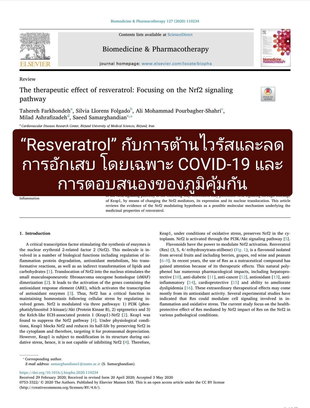 “Resveratrol” กับบทบาทที่ช่วยในการต้านไวรัสและลดการอักเสบ โดยเฉพาะในบริบทของ COVID-19 และการตอบสนองของภูมิคุ้มกัน