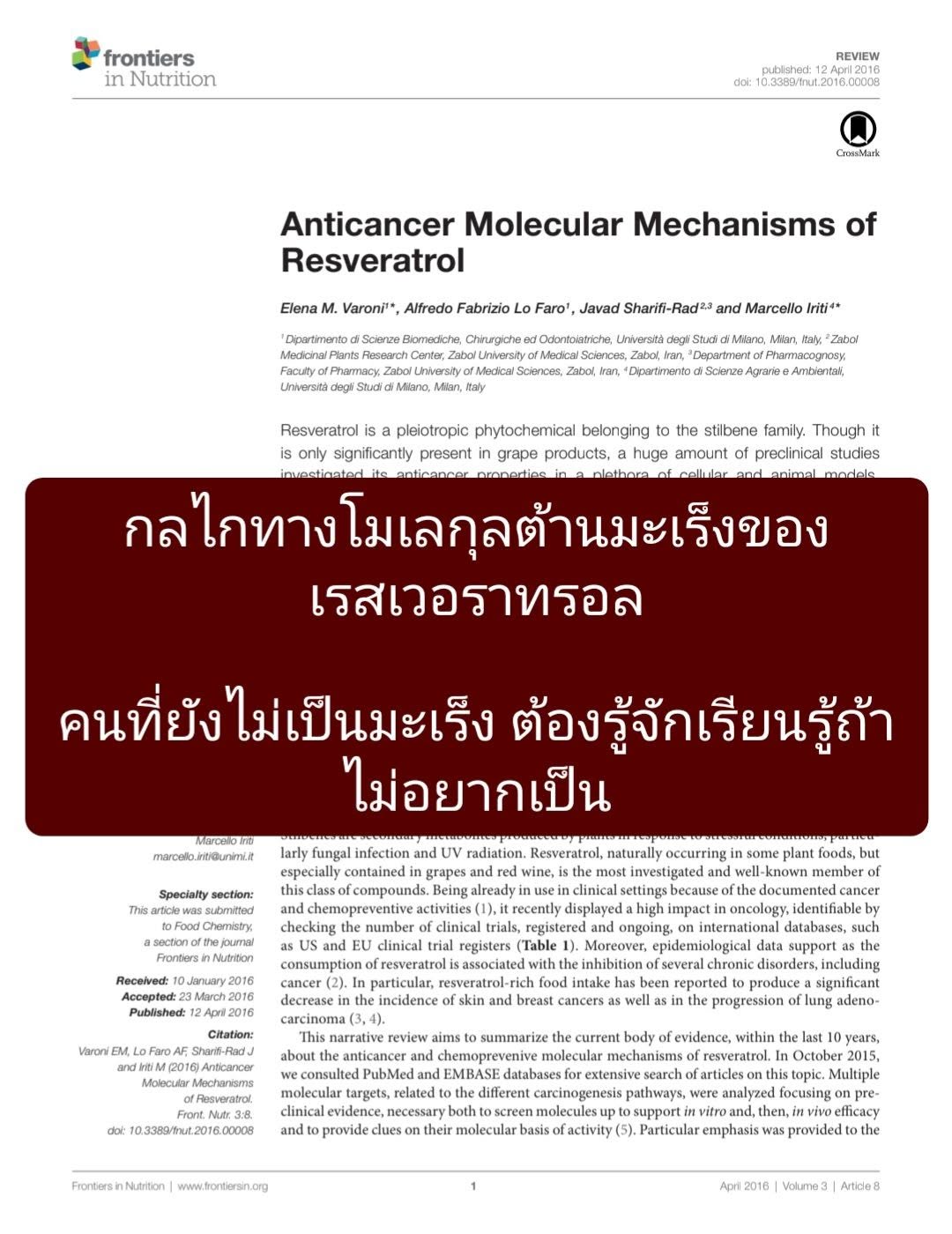 [Frontiers] Anticancer Molecular Mechanisms of Resveratrol กล่าวถึงกลไกระดับโมเลกุลที่ทำให้ “เรสเวอราทรอล” (Resveratr...
