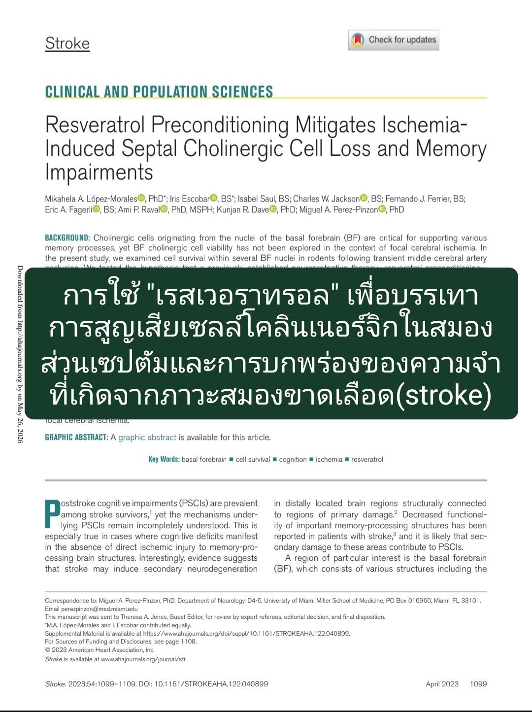 “Resveratrol Preconditioning Mitigates Ischemia-Induced Septal Cholinergic Cell Loss and Memory Impairments” ตีพิมพ์ใ...