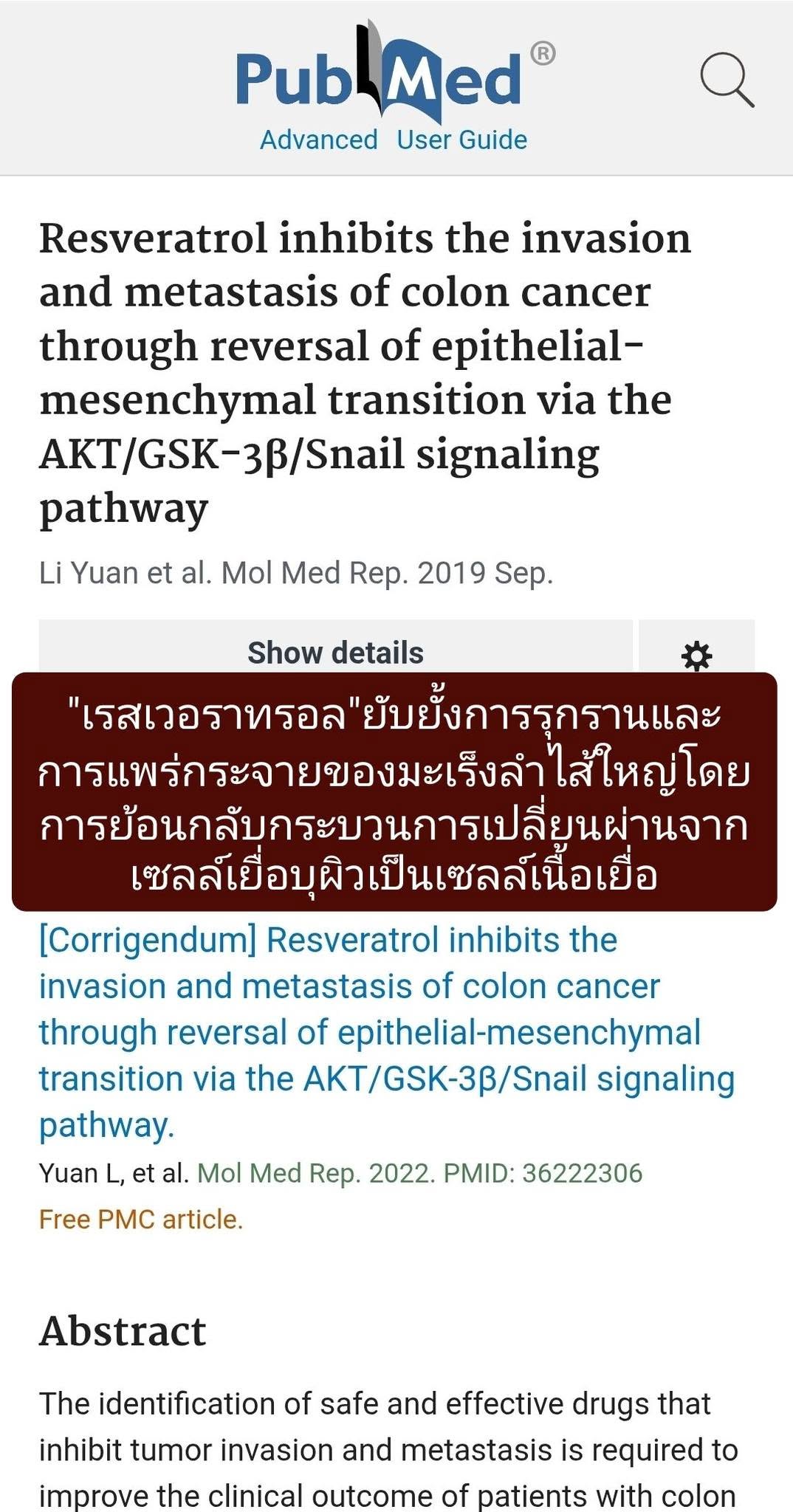 วิจัยเรื่อง