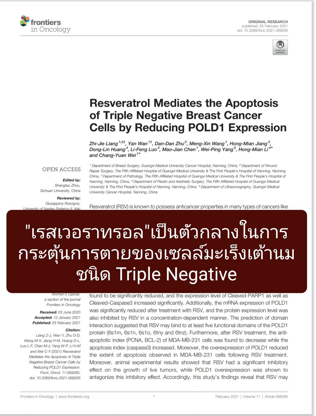 “Resveratrol Mediates the Apoptosis of Triple Negative Breast Cancer Cells by Reducing POLD1 Expression” ตีพิมพ์ในวาร...