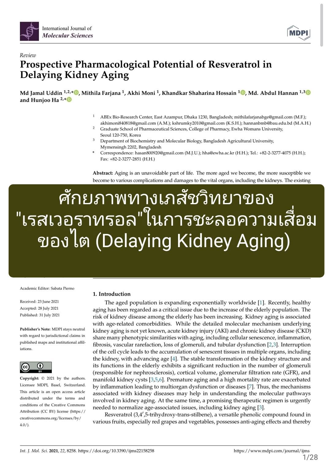 วิชาการเรื่อง "Prospective Pharmacological Potential of Resveratrol in Delaying Kidney Aging" (ศักยภาพทางเภสัชวิทยาขอ...