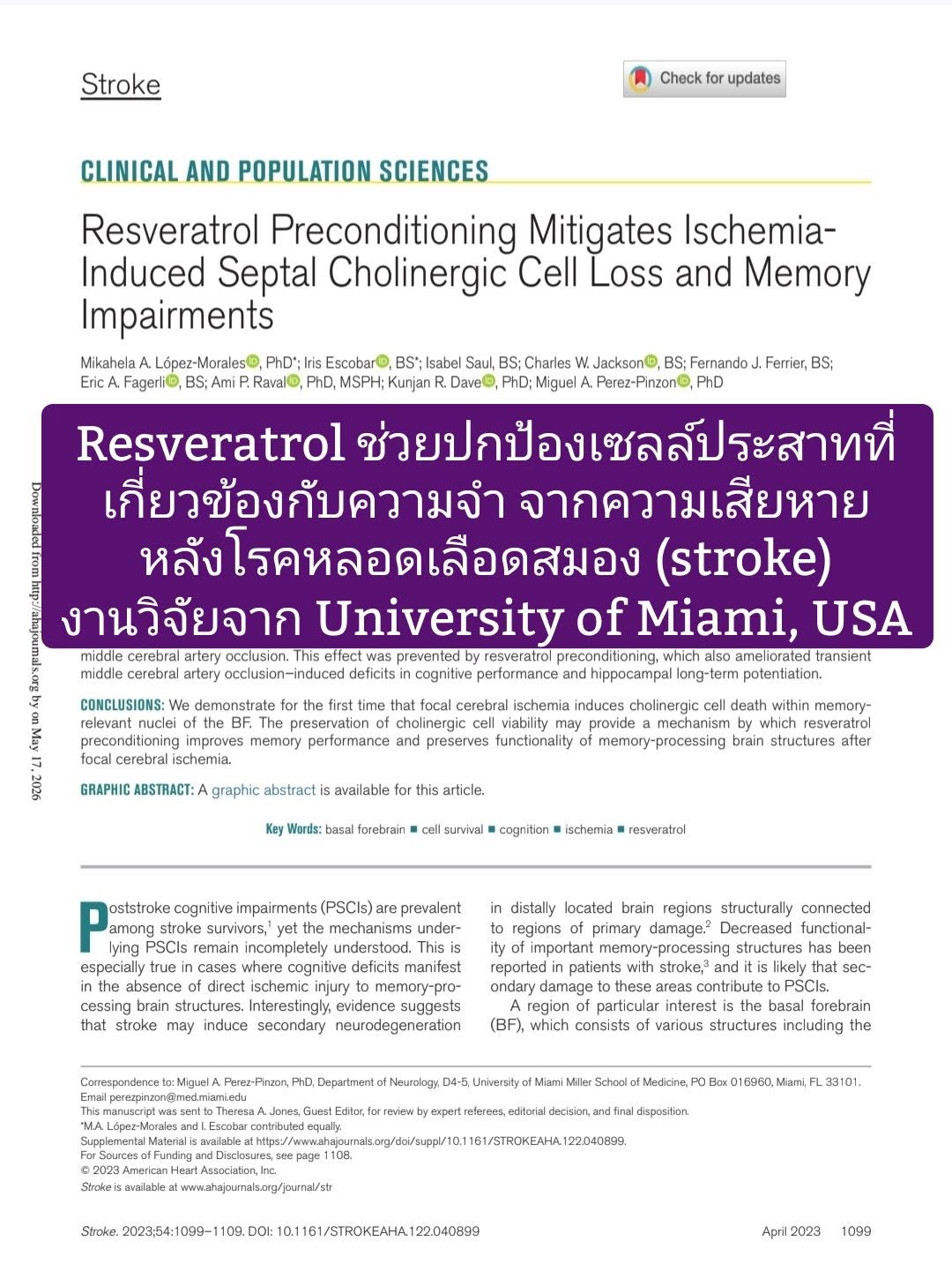 “Resveratrol Protects Septal Cholinergic Cells From Secondary Neurodegeneration Following Stroke” ซึ่งเผยแพร่ในวารสาร...