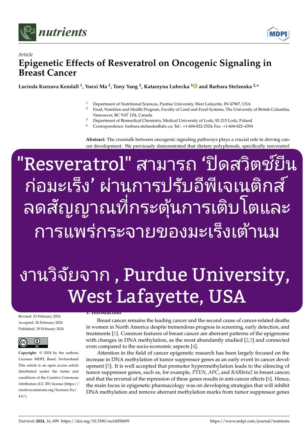 Epigenetic Effects of Resveratrol on Oncogenic Signaling in Breast Cancer