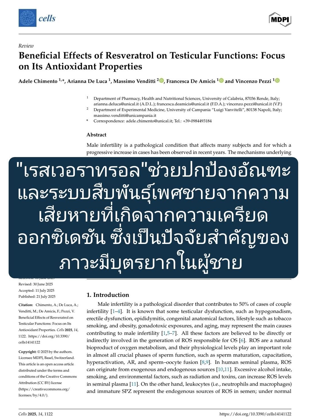 ในวารสาร Cells (MDPI)⁠ เรื่อง Beneficial Effects of Resveratrol on Testicular Functions: Focus on Its Antioxidant Pro...