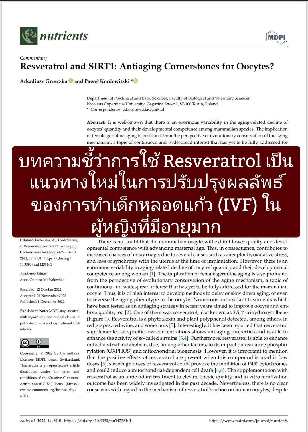 วิจัยเรื่อง "Resveratrol and SIRT1: Antiaging Cornerstones for Oocytes?" จากวารสาร MDPI นำเสนอความสำคัญของสารเรสเวอรา...
