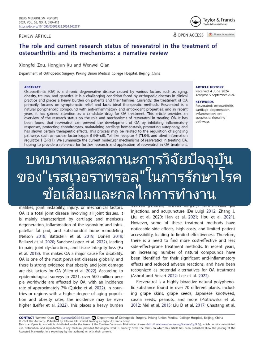 วิชาการเรื่อง "The role and current research status of resveratrol in the treatment of osteoarthritis and its mechani...