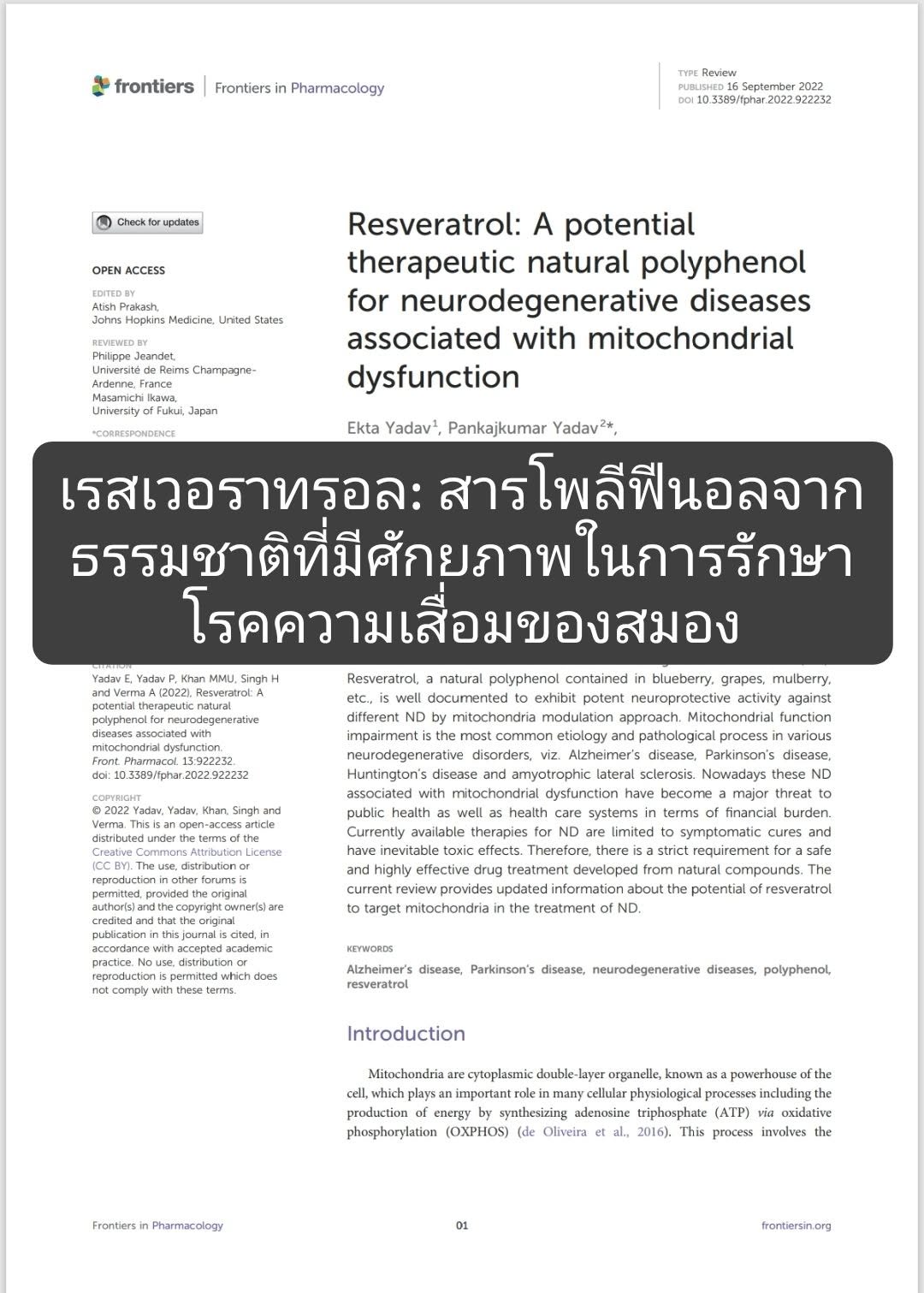 เรื่อง “Resveratrol: A potential therapeutic natural polyphenol for neurodegenerative diseases associated with mitoch...