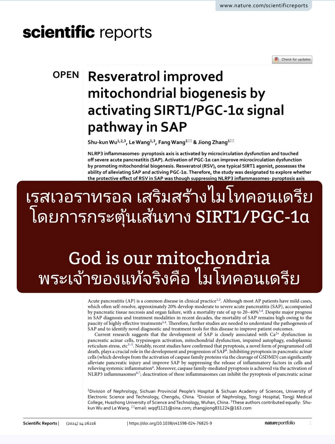 งานวิจัยจากบทความใน Scientific Reports เรื่อง