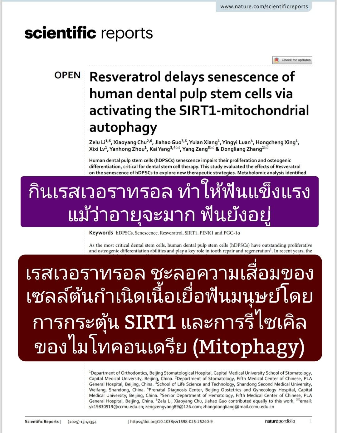 งานวิจัยเรื่อง
