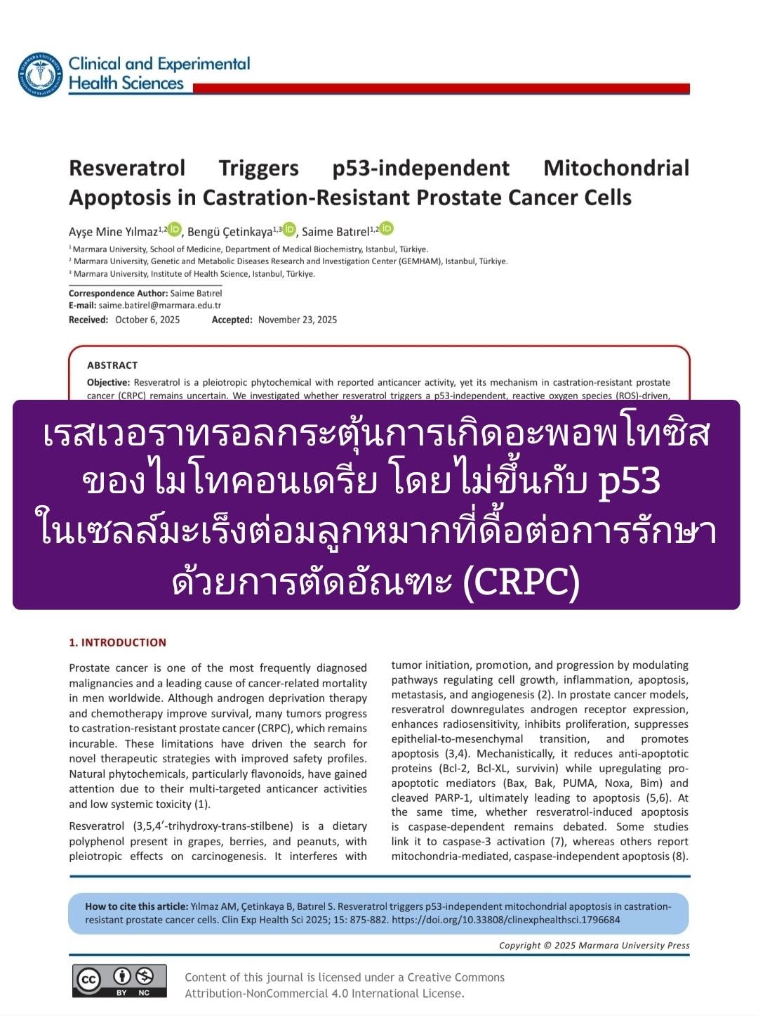 “Resveratrol Triggers p53-Independent Mitochondrial Apoptosis in Castration-Resistant Prostate Cancer Cells” จากวารสา...