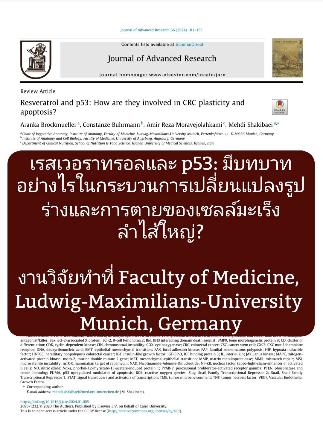 “Resveratrol and p53: How are they involved in CRC plasticity and apoptosis?”