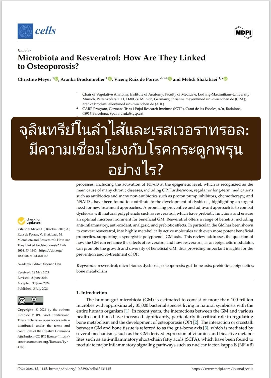 : Microbiota and Resveratrol: How Are They Linked to Osteoporosis?