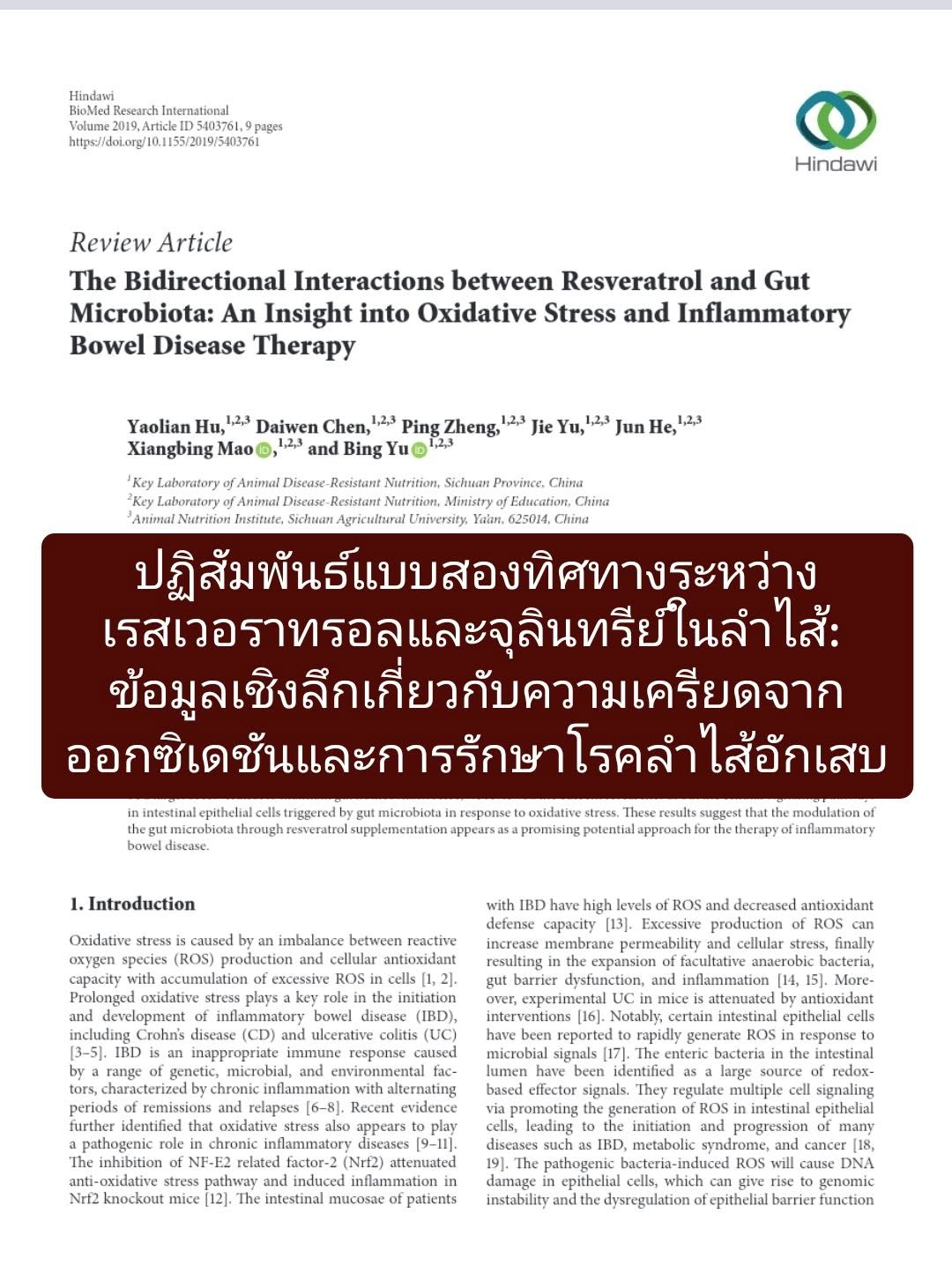 บทความ “The Bidirectional Interactions between Resveratrol and Gut Microbiota: An Insight into Oxidative Stress and I...