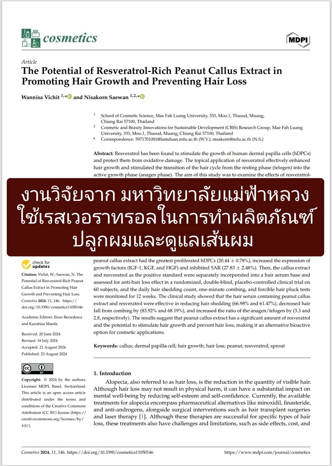 : ศักยภาพของสารสกัด Peanut Callus ที่อุดมด้วย เรสเวอราทรอล (Resveratrol) ในการกระตุ้นการงอกของเส้นผมและป้องกันผมร่วง
