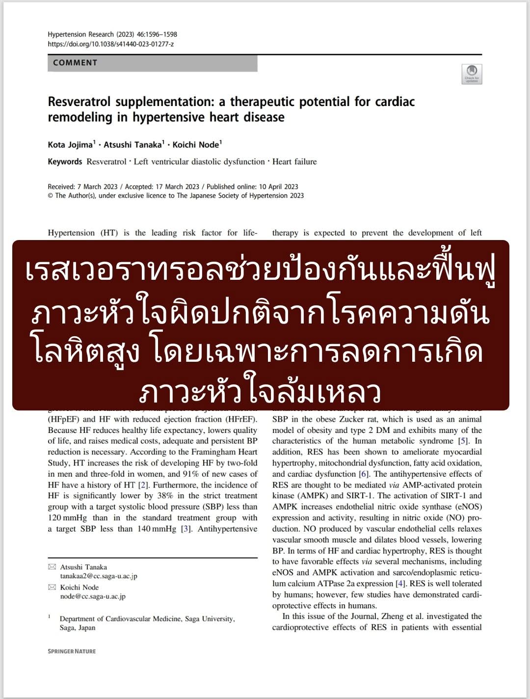 : Resveratrol supplementation: a therapeutic potential for cardiac remodeling in hypertensive heart disease