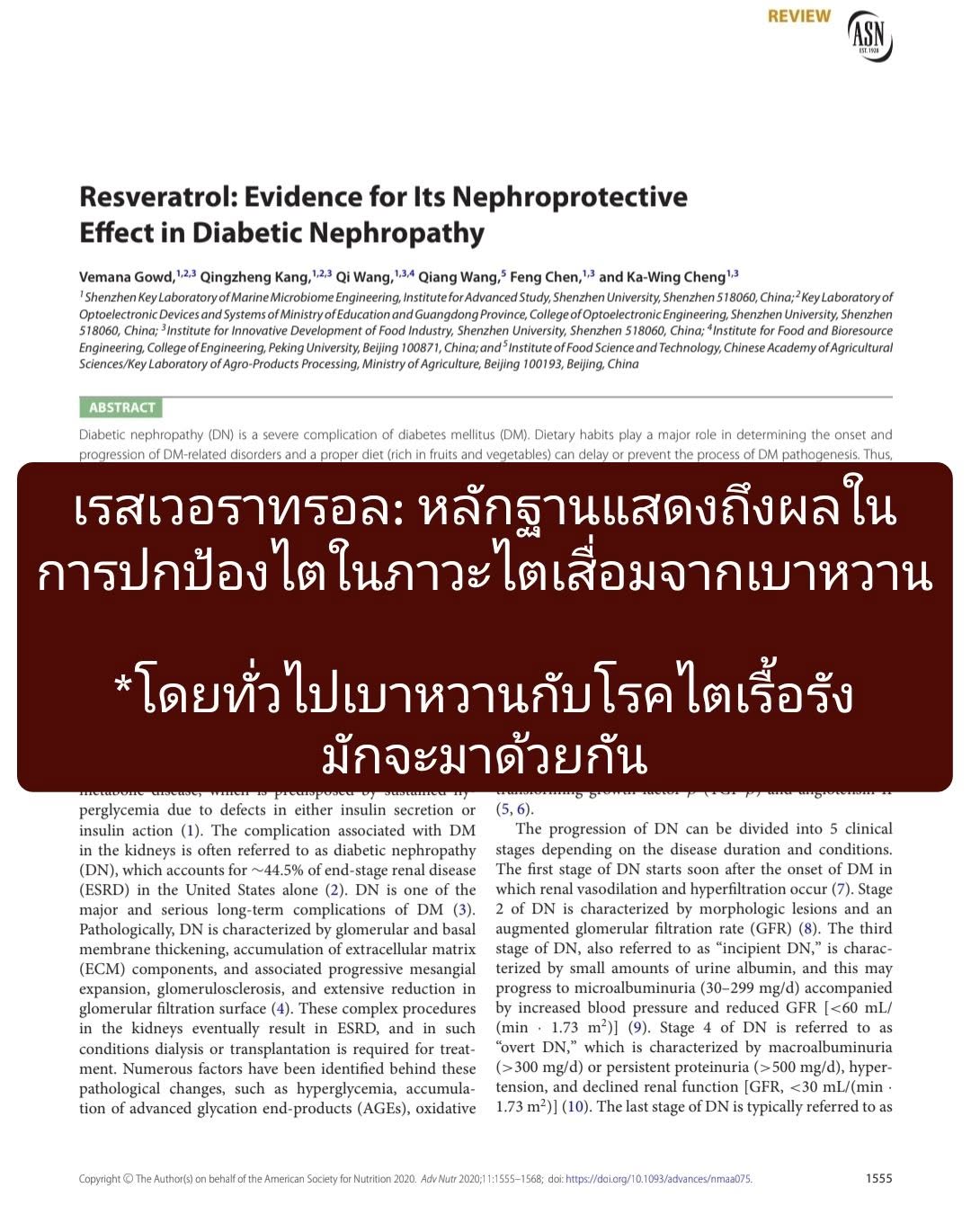 : Resveratrol: Evidence for Its Nephroprotective Effect in Diabetic Nephropathy