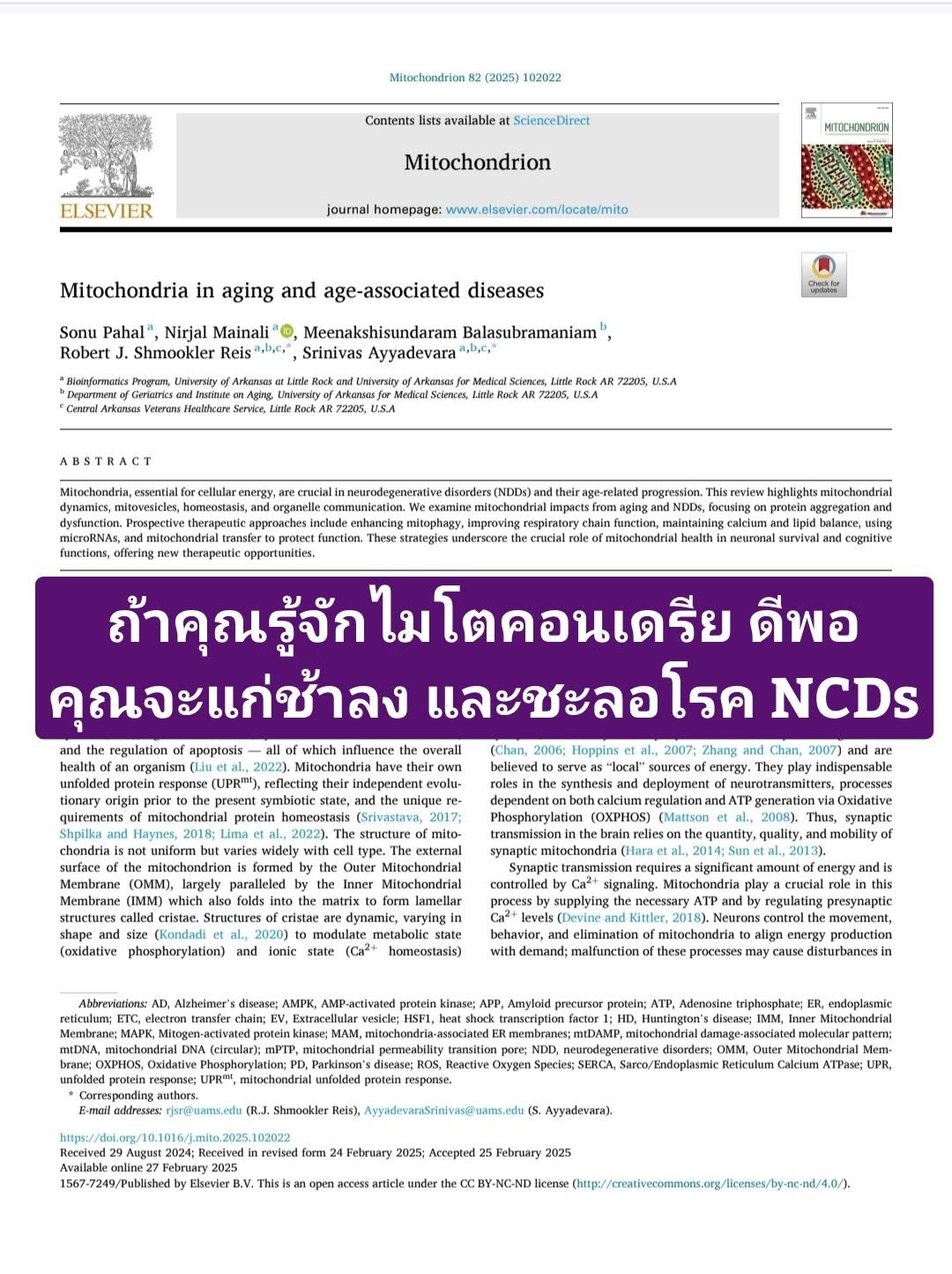 แนวคิดที่ว่า “ความแก่เป็นโรค” เริ่มถูกพูดถึงมากขึ้นในวงการชีววิทยาสมัยใหม่ โดยเฉพาะในระดับ ชีวโมเลกุล (molecular leve...