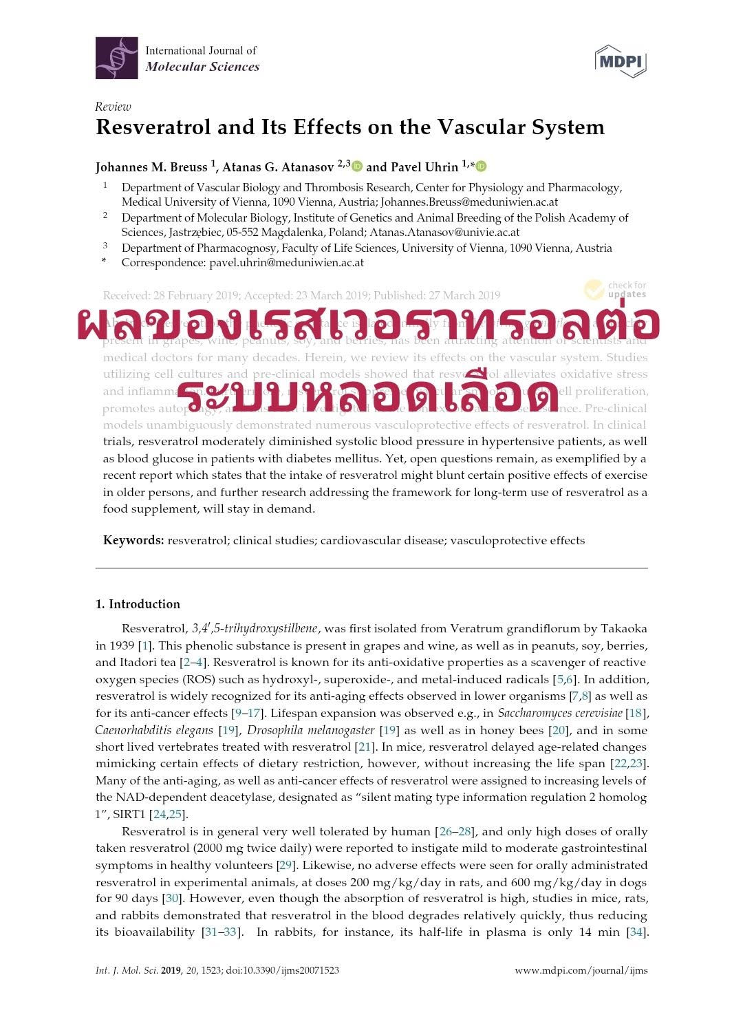 “Resveratrol and Its Effects on the Vascular System” (ผลของเรสเวอราทรอลต่อระบบหลอดเลือด) แบบเข้าใจง่าย: