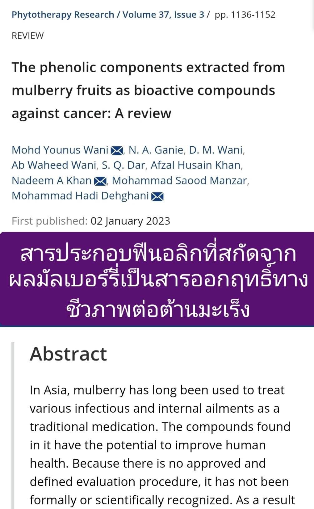 ให้แบบอ่านง่ายและตรงประเด็น (อ้างอิงจากบทความรีวิว Phytotherapy Research, ตีพิมพ์ปี 2023)