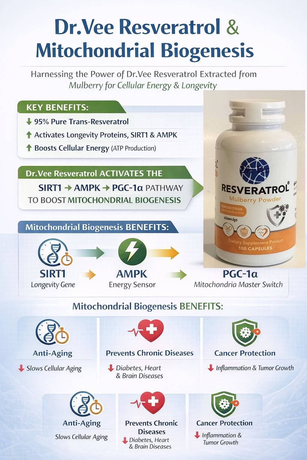 การเสริมสร้างไมโตคอนเดรีย (Mitochondrial Biogenesis) ด้วย เรสเวอราทรอล Dr.Vee สกัดจากมัลเบอร์รี่ ธรรมชาติ 100% เป็น “...
