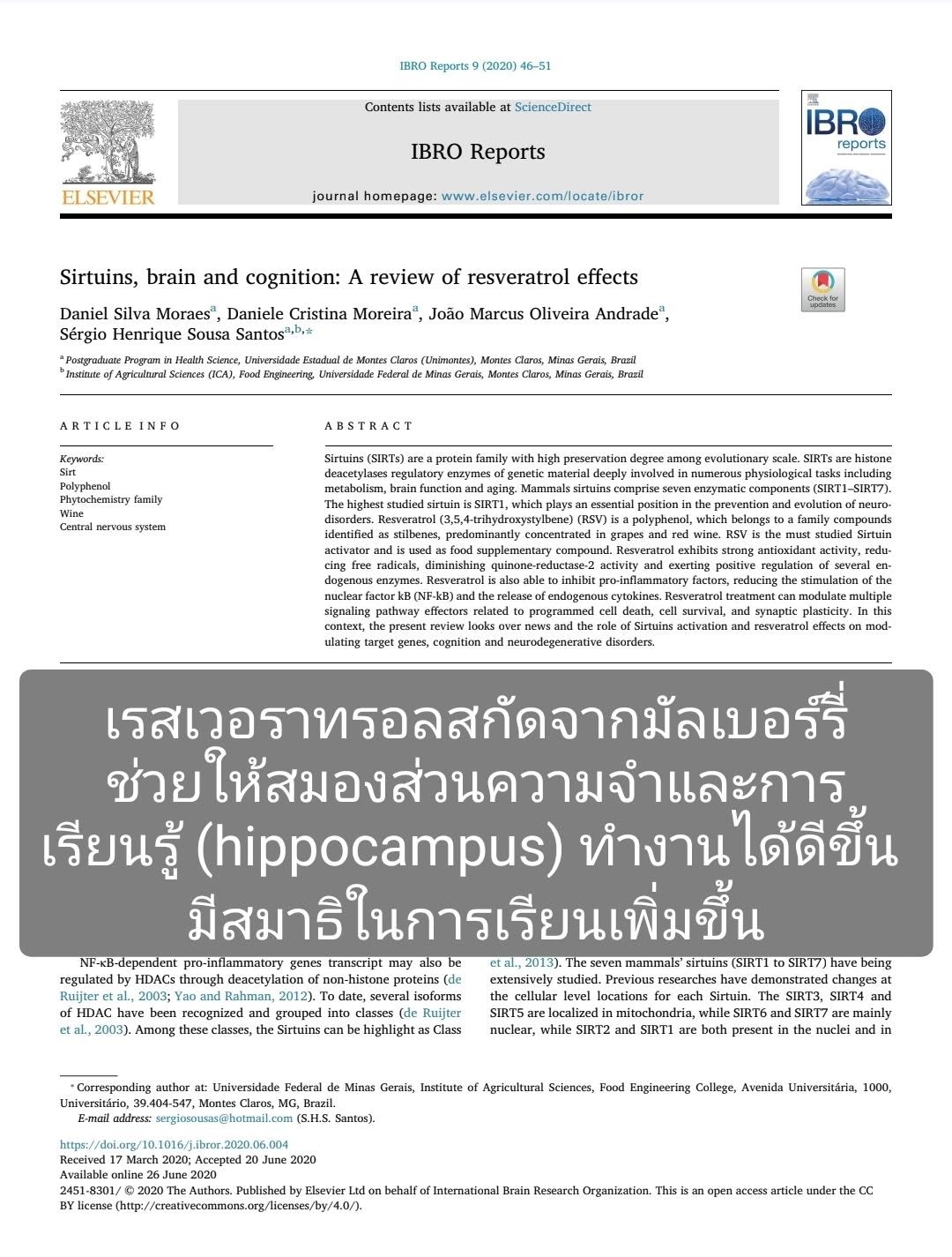 เรสเวอราทรอล (Resveratrol) สกัดจากมัลเบอร์รี มีงานวิจัยหลายชิ้นที่ชี้ว่าส่งเสริมการทำงานของสมอง โดยเฉพาะในส่วน hippoc...