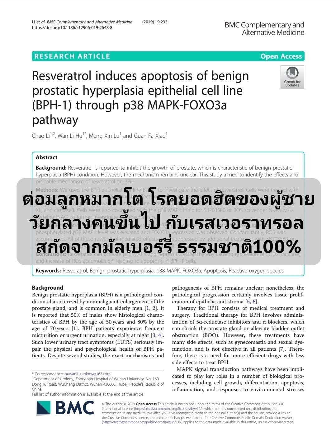 จากบทความ Resveratrol induces apoptosis of benign prostatic hyperplasia epithelial cell line (BPH-1) through p38 MAPK...