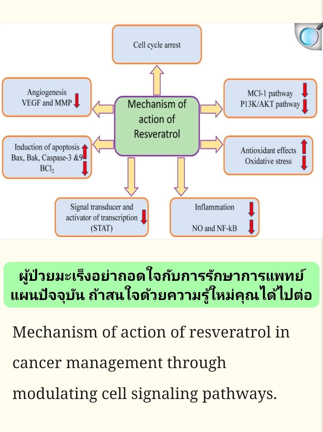 อธิบายภาพนี้จากบทความ Potential Therapeutic Targets of Resveratrol, a Plant Polyphenol, and Its Role in the Therapy o...