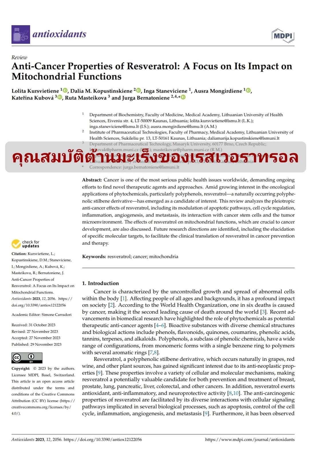 จาก GPT5 คำอธิบายเชิงลึกเกี่ยวกับ กลไกทางชีวภาพของเรสเวอราทรอล (Resveratrol) สกัดจากมัลเบอร์รี่ ธรรมชาติ 100% ต่อการป...
