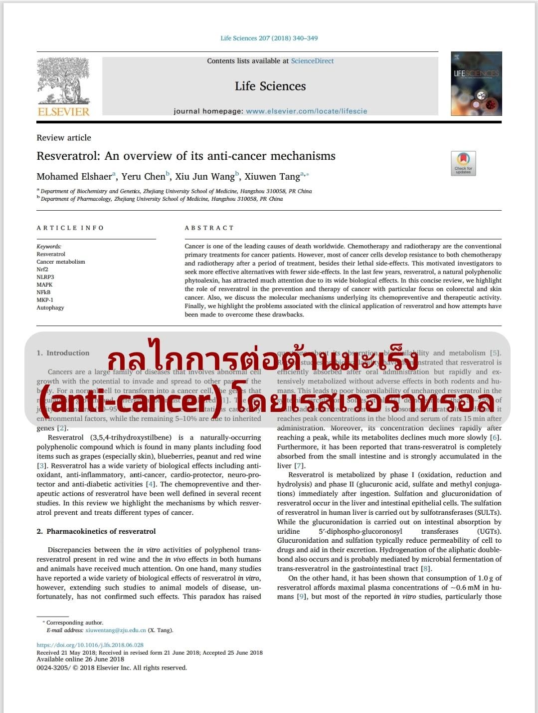 Resveratrol: An overview of its anti-cancer mechanisms (เรสเวอราทรอล: รีวิวกลไกการต่อต้านมะเร็ง)