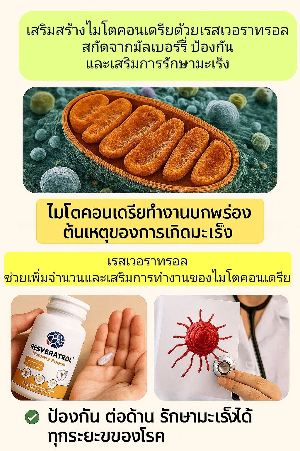 ไมโตคอนเดรีย คือ “โรงงานผลิตพลังงาน” ในทุกเซลล์ของร่างกายเรา ถ้าไมโตคอนเดรียทำงานดี ร่างกายก็มีพลัง เซลล์ก็แข็งแรง แต...