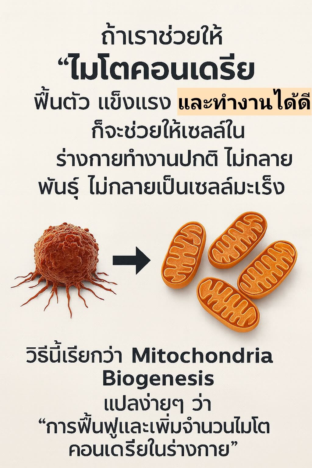 อธิบายแบบ "ภาษาชาวบ้าน" ให้เข้าใจง่ายที่สุด: