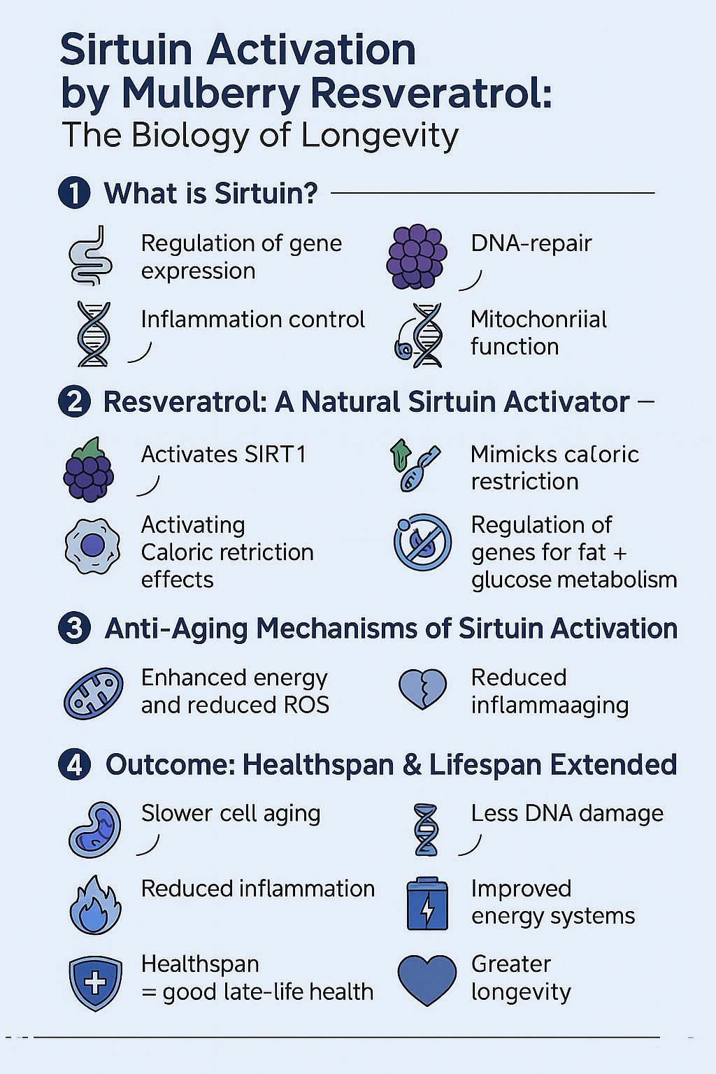 คำอธิบายกลไกทางชีววิทยาของ Sirtuin activation โดย เรสเวอราทรอลสกัดจากมัลเบอร์รี่ (Mulberry-derived Resveratrol) และผล...