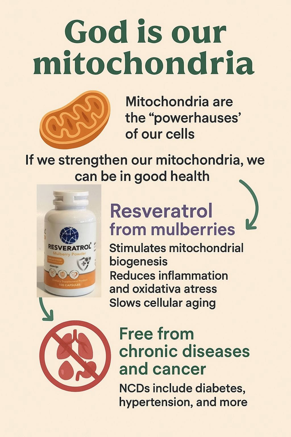 คำกล่าวที่ว่า "God is our mitochondria" เป็นการเปรียบเปรยในเชิงปรัชญาและชีววิทยา โดยอธิบายได้ดังนี้: