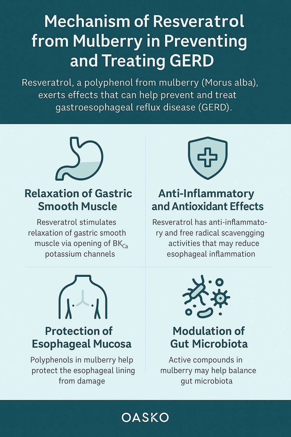 เรสเวอราทรอล (Resveratrol) เป็นสารโพลีฟีนอลที่พบในผลมัลเบอร์รี่ (Morus alba) ซึ่งมีคุณสมบัติทางเภสัชวิทยาหลายประการ ร...
