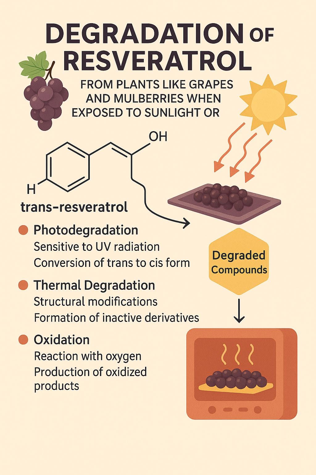 การสลายตัวของ เรสเวอราทรอล (resveratrol) เมื่อถูกแสงแดดหรือความร้อน เป็นผลจากกลไกทางชีววิทยาและเคมีที่เกี่ยวข้องกับกา...
