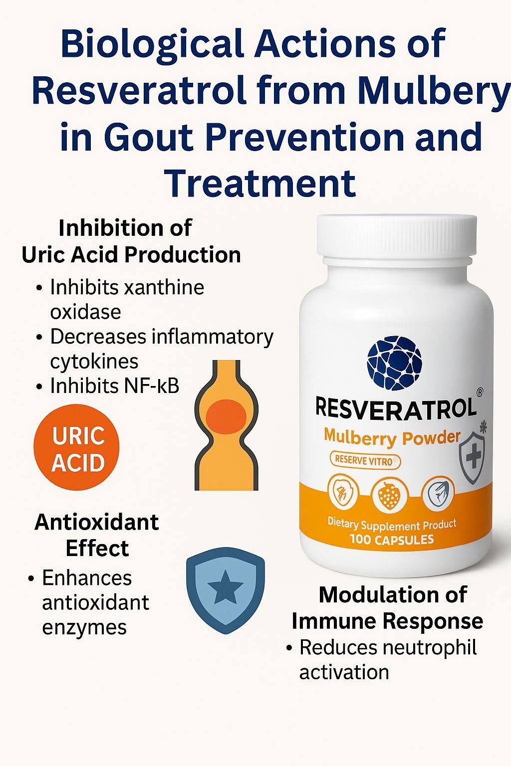 เรสเวอราทรอล (Resveratrol) เป็นสารโพลีฟีนอลที่พบในพืชหลายชนิด รวมถึงมัลเบอร์รี่ (Mulberry) โดยมีคุณสมบัติทางชีวภาพหลา...