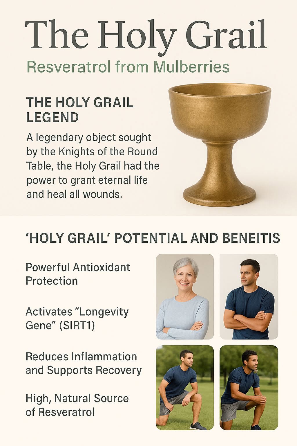 เรามาเริ่มจากตำนานของ “จอกศักดิ์สิทธิ์” (Holy Grail) กันก่อน แล้วจึงเปรียบเทียบกับคุณค่าของเรสเวอราทรอลที่สกัดได้จากม...