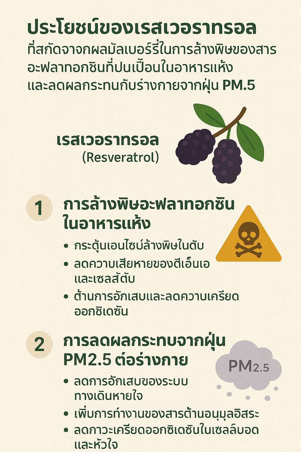 อธิบายประโยชน์ของเรสเวอราทรอลที่สกัดจากผลมัลเบอร์รี่ในการล้างพิษของสารอะฟลาทอกซินที่ปนเปื้อนในอาหารแห้งและลดผลกระทบกั...
